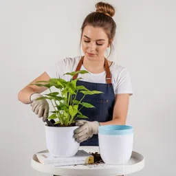 snshopee 5 Beautiful Wave Matte Finish planters flower plant pots gamla gardening Plant Container Set image 5