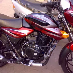 br bull Sticker & Decal for Bike image 3