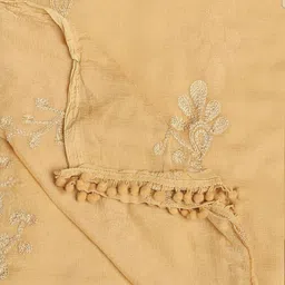 divyam Chiffon Embroidered Beige Women Dupatta image 3