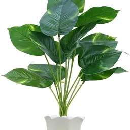 buffels india 12 Artificial Plant with Pot-picture-32