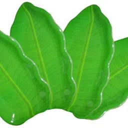 rk tech melamine banana Saucer plate beautiful plate set pack of 12 Quarter Plate-picture-39