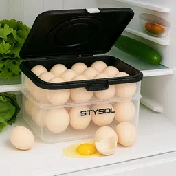 stysol Plastic Egg Container - 2 dozen-picture-47