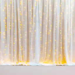 zebra finch Blue Birthday Decoration kit with net curtain and light. image 4