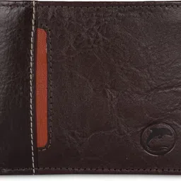 dolphin global Men Casual, Formal, Travel Brown Genuine Leather Wallet-picture-11