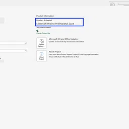 MICROSOFT Office Project Professional 2024,One-time purchase for 1 PC (Lifetime Validity) image 3