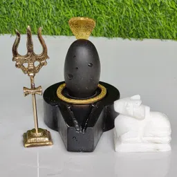 shivam vastu kala shivling art Rare & Unique Energy Narmada Shivaling / Narmadeshwar Shiva Lingam / Decorative Showpiece - 2 cm image 5