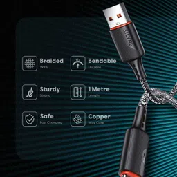 LYNE Type C 1 m FLEXY 51C image 2