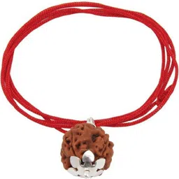 Six Face Rudraksha/ 6 Mukhi Silver Brass, Wood Pendant-image-16