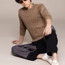 roadster Men Self Design Round Neck Brown Sweater image 5