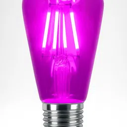 deamflum 40 W Eye Safety Compliance Standard E27 Incandescent Bulb-picture-39