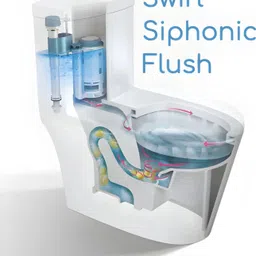 laxxaro 002 Western Commode image 4