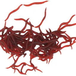 bolt Soft Bait Silicone Fishing Lure image 2