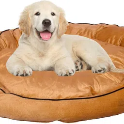 heaven luxurious Premium Quality Ultra Soft Velvet Sofa Dog Bed & Cat Bed| Puppies Puppy Pet Bed XXL Pet Bed image 2