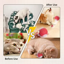 decorvaiz 360° Interactive Dog, Cat Toys Ball, Electric Rolling Ball Automatic Moving Ball Silicone, Plastic Ball For Dog & Cat image 3