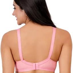 layeba Pack of 2 Women Full Coverage Non Padded Bra image 5