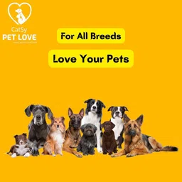 catsy Rawhide Dog Chew Bone (3 Inches Pack of 36 Bones) Chicken Dog Chew image 5