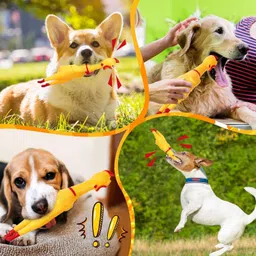 petzluv YOUHAVEDEAL Puppies COMBO Kits for Small and Medium Dogs, Chew Toys for Puppy Cotton Training Aid, Chew Toy, Ball, Rubber Toy, Squeaky Toy For Dog & Cat image 2