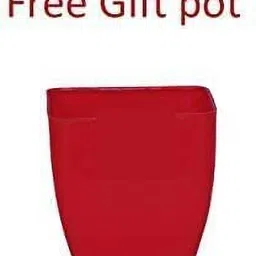 varshney gardening 12 inch round flower pots terracotta heavy duty gardening pots with bottom tray Plant Container Set image 5