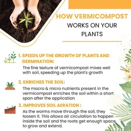 dharti corporation Organic Vermicompost Manure for Plant & Vegetables -5KG Manure image 3