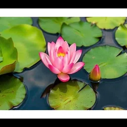 mmory Elegant Wall Art Digital Reprint 12 inch x 18 inch Painting-picture-21