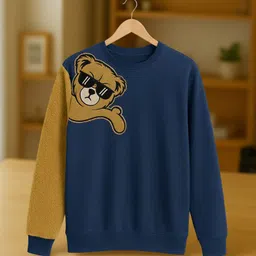 Men Full Sleeve Color Block Sweatshirt-image-87