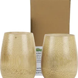 gobamboos (Pack of 2) GC 12 Glass Water/Juice Glass image 4