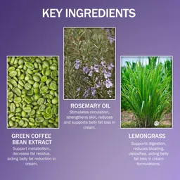 7days natural Body Fit slimming cream A Belly fat reduce Fat loss fat burner oil Men & Women image 5