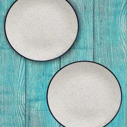 retail mafia Ceramic plate tray dish_2 Quarter Plates_n14 Quarter Plate-picture-29
