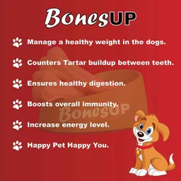 bones up Rawhide Dog Chew Bone 3 Inch (15 pcs.) Safe & Digestible Dog Chew image 4