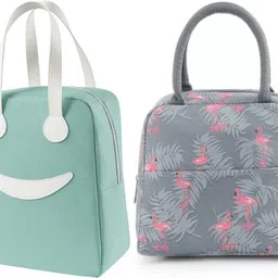 kardiff Insulated Travel Lunch / Tiffin / Storage Bag for Office, College & School Waterproof Lunch Bag-picture-34