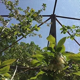 gulshan sports anti bird net 30\10 feet window campinig net Camping Net image 2