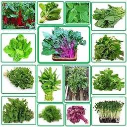 ibains Winter vegetable seeds Seed-picture-23