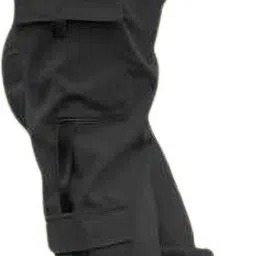 style sizzle Men Cargos image 2