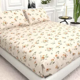 Floral 210 TC Microfiber Bedsheet with 2 Pillow Covers Cider Queen Collection-image-88