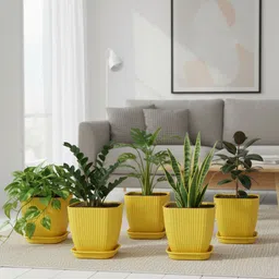 decorzone 5 Premium Square Pots with tray flower plant pots gamle vase planters Plant Container Set image 4