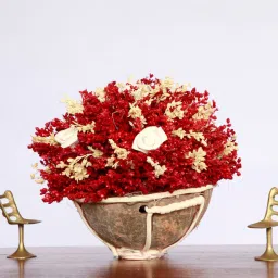 handzon Red Sola Natural Dried Flowers On Coconut Shell Decorated With Coir image 1