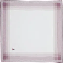 Allen Solly Mens Cotton Color Border ["Multicolor"] Handkerchief image 5