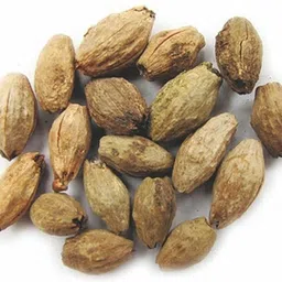 green india Melia Dubiya Or Malabar Neem Seed Pack Of 10 G Seed-picture-24