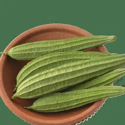 mamoni traders Ridge Gourd Seeds, Organic Seeds For Gardening, toree, Chinese okra Hybird Seed image 2