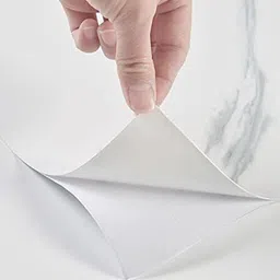 evanshiiimpex Vinyl Nature White Wallpaper-picture-11