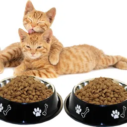 movson Set of 2 Cat Stainless Steel Printed Water/Food Bowl Stainless Steel Pet Bowl-picture-14
