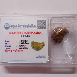 divine souvenirs 1 Mukhi Rudraksha Wood-picture-25