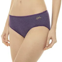 vip Pack of 3 Women Hipster Multicolor Panty image 3