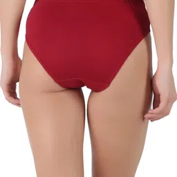 prithvi Pack of 3 Women Hipster Multicolor Panty image 2