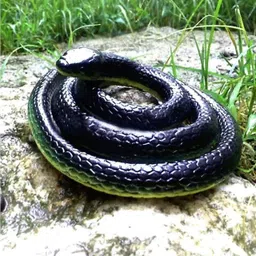 sehgal Fake Snake/Prank Realistic Fake Rubber Snake Prank Toy Fake Snake Prank Toy Gag Toy image 3