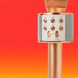 stybits X790 Rechargeable Karaoke Mic for YouTube, Singing & Live Performance Microphone-picture-28