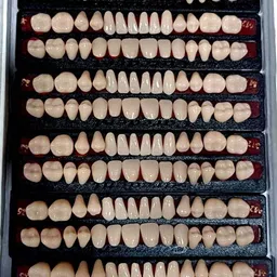 pyrax Dental Acrylic Teeth Kit Shade Of Teeth-M2-26, Number /No Teeth Wipe image 3