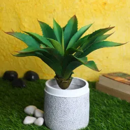 casacraft from pepperfry Green Polyester Artificial Aloe Vera Plant Without Pot image 1