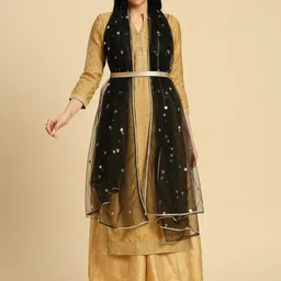 Dupatta Bazaar Polka Dots Embroidered Sequinned Net Dupatta-image-80