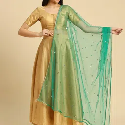 Dupatta Bazaar Embellished Sequinned Net Dupatta-image-84